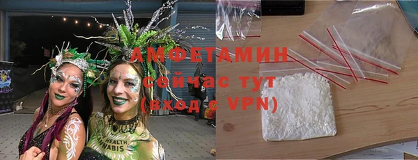 хмурый Алексин